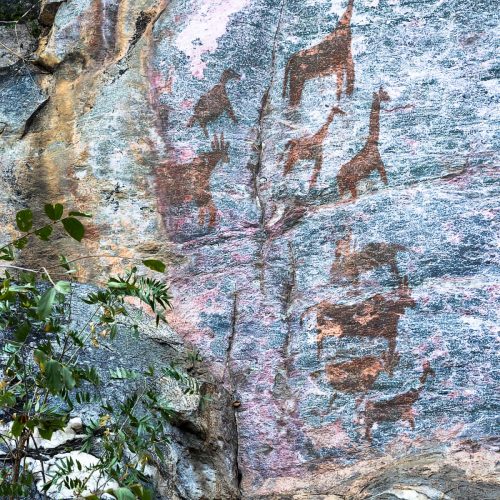 Rock Art -Animals Tsodilo Hills Botswana