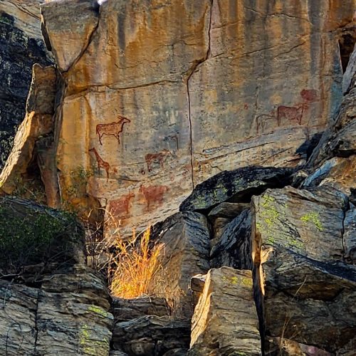 Rock Art 1 Tsodilo Hills Botswana